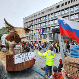 Protest kmetov (photo: Rok Mihevc)