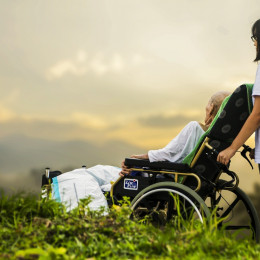 Prostovoljka v Hospicu je omogočila umirajočemu sprehod v naravi (photo: Pixabay)