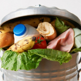 Največ hrane zavržemo v gospodinjstvih  (photo: ARO)