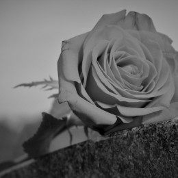 Vrtnica na grobu (photo: Pixabay)