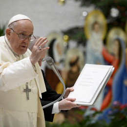 Papež podeljuje blagoslov na avdienci (photo: Vatican News)