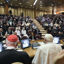 Papež med srečanjem z udeleženci konference (photo: Vatican media)