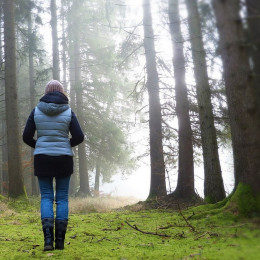 Ob hormonskem neravnovesju, ko sebe ne spoznamo, je tudi narava lahko zelo pomirjujoča. (photo: PixaBay)