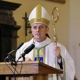 Škof Andrej Saje (photo: Radio Vatikan)