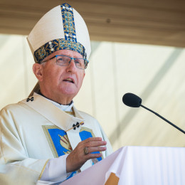 Nadškof Stanislav Zore (photo: STA / Bor Slana)