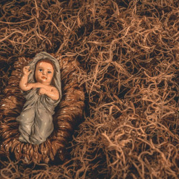 Novorojeni  (photo: Jeswin Thomas / Pexels)