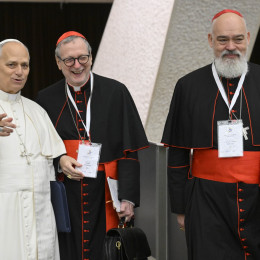 Papež v sproščenem pogovoru s kardinali (photo: Vatican media)