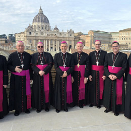 Slovenski škofje v Vatikanu (photo: )