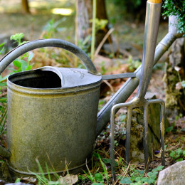 Zalivalka, kangla... (photo: Congerdesign from Pixabay)