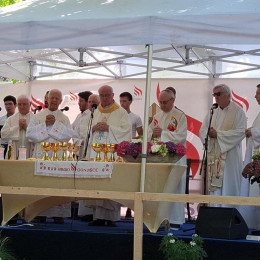 Mašo je ob somaševanju drugih duhovnikov daroval škof Šuštar (photo: Petra Stopar)