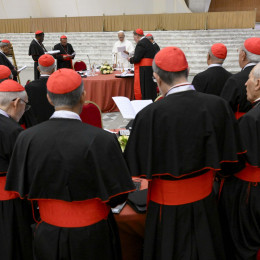 Papež Leon XIV. in zbor kardinalov (photo: Vatican Media)