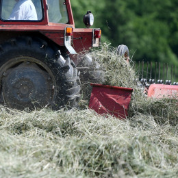 Spravilo sena, traktor, kmetijstvo (photo: Tamino Petelinšek/STA)