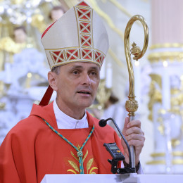 Škof Andrej Saje med nagovorom (photo: Jože Potrpin)