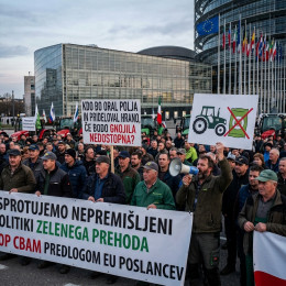 COPA COGECA: »Kmetijstva ni mogoče vedno znova uporabljati za blaženje učinkov drugih evropskih politik!« (photo: Gemini AI)
