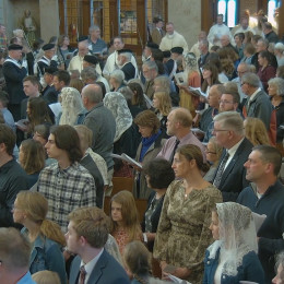 Verniki so stolnico napolnili do zadnjega kotička (photo: posnetek zaslona)