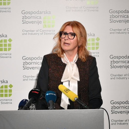 Generalna direktorica Gospodarske zbornice Slovenija Vesna Nahtigal (photo: posnetek zaslona)