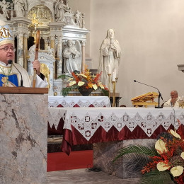 Nagovor škofa Franca Šuštarja na Brezjah (photo: Marjana Debevec)