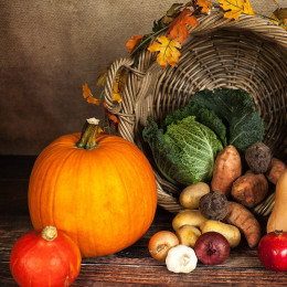 Jesen je bogata s plodovi, pridelki in barvami (photo: Sabrina Ripke / Pixabay)