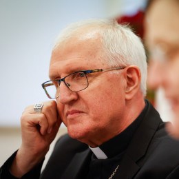 Ljubljanski nadškof Stanislav Zore (photo: Anze Malovrh/STA)