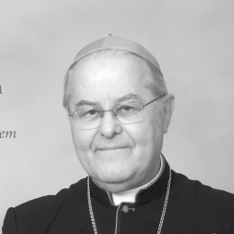 Nagovor škofa Piriha na Radijskem misijonu leta 2010 (photo: )