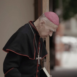 Škof Smej v filmu Kaplja na vedru (photo: Posnetek zaslona, David Sipoš)