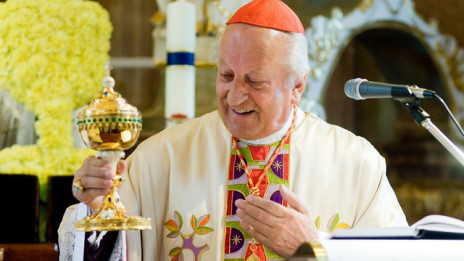 Zlata maša kardinala Franca Rodeta (photo: Tadej in Rok Majhenič)