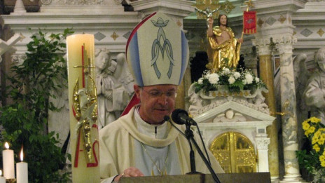 Nadškof Marjan Turnšek, Brezje 2011 (photo: ARO)