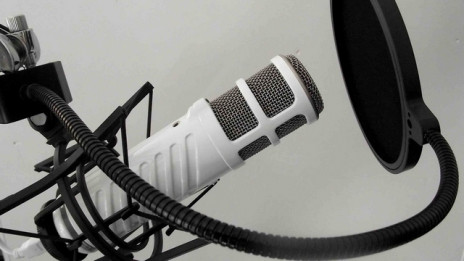 Mikrofon (photo: ARO)