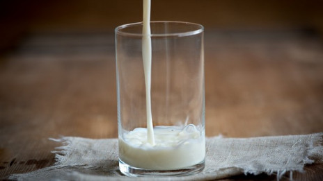 Kozarec mleka (photo: Pezibear)