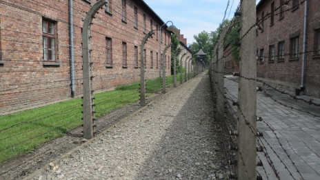 Taborišče Auschwitz (photo: ARO)