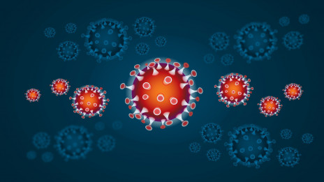 Koronavirus (photo: Pixabay)