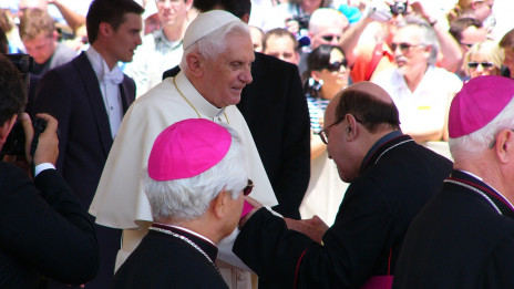 Papež Benedikt XVI. (photo: Pixabay)