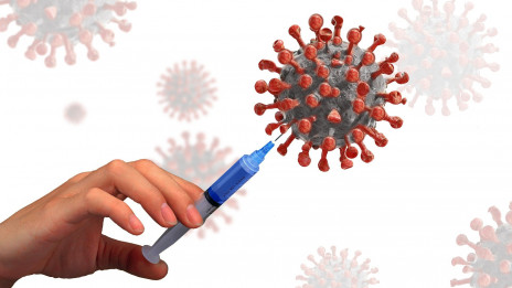 Strokovnjaka o cepivih proti novemu koronavirusu,; cepivo, koronavirus (photo: Pixabay)