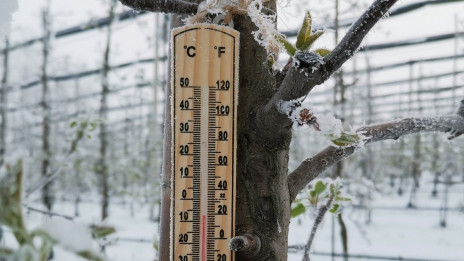 Temperature so se spustile pod nič (photo: Franc Bogovič)