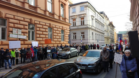 Udeleženci shoda pred Ustavnim sodiščem (photo: Aleš Primc)