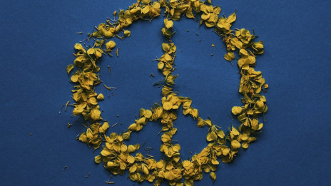 Znak za mir (photo: Pixabay)