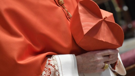 27. avgusta bomo dobili nove kardinale (photo: Vatican Media)