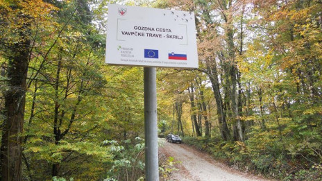Gozdna cesta (photo: Občina Semič)