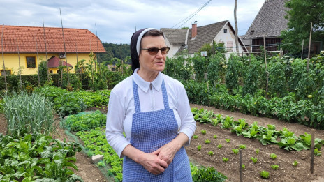 S. Nikolina je naša 'radijska kuharica' že več kot desetletje (photo: Rok Mihevc)