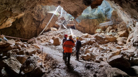 Morišče Macesnova Gorica med izkopavanjem posmrtnih ostankov žrtev povojnih pobojev (photo: Škofija Novo mesto)