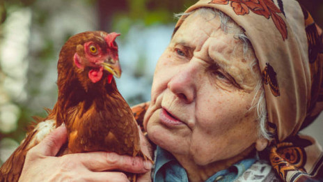 Starejša gospa na kmetiji (photo: ArtMarie)