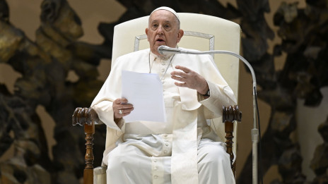 Papež med današnjo avdienco (photo: Vatican News)