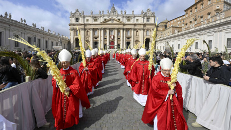 Cvetna nedelja v Vatikanu (photo: Vatican Media)