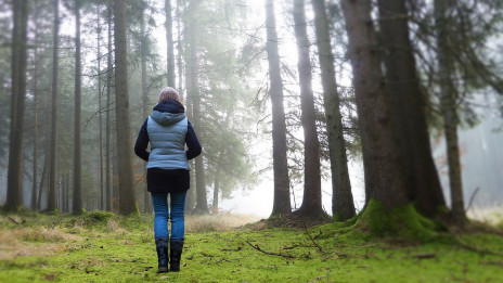 Ob hormonskem neravnovesju, ko sebe ne spoznamo, je tudi narava lahko zelo pomirjujoča. (photo: PixaBay)