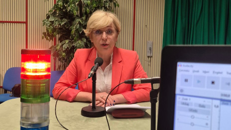 Evropska poslanka SDS in podpredsednica EPP Romana Tomc (photo: ARO)