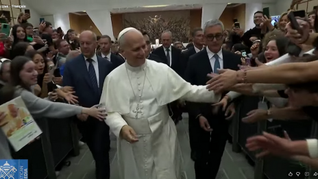 Papež pozdravlja udeležence srečanja (photo: Posnetek zaslona)