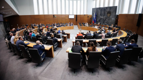 Državni zbor (photo: Nebojiša Tejić / STA)