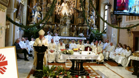 Nadškof Alojzij Cvikl (photo: Zajem zaslona Youtube prenosa iz župnijske cerkve sv. Martina na Ponikvi)
