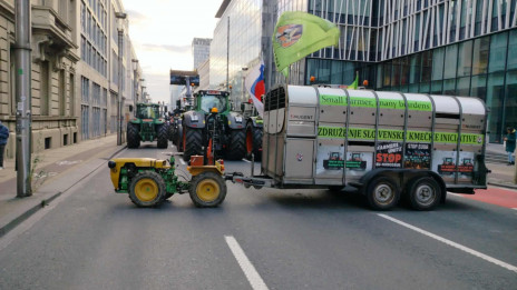 Edini slovenski traktor na protestih v Bruslju: Bremena postajajo neznosna... (photo: Združenje Kmečka iniciativa)