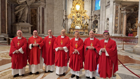 Slovenski škofje v vatikanski baziliki (photo: Primož Lorbek)